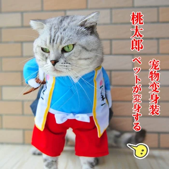 [Магазин MPK] Японски костюм на котка самурай, Дрехи за котки, Дрехи за котки, съвременен дизайн от MPK